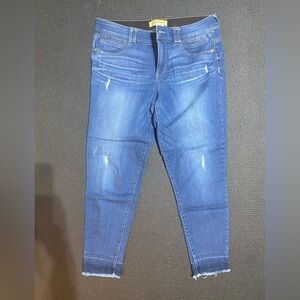 Democracy Blue Ankle & Cropped Jeans